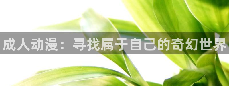 天天动漫首页