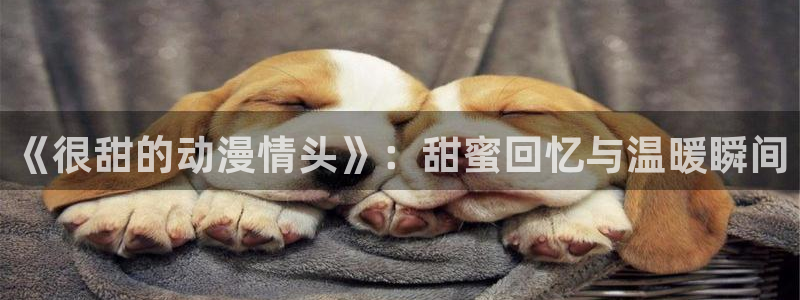 天天动漫首页